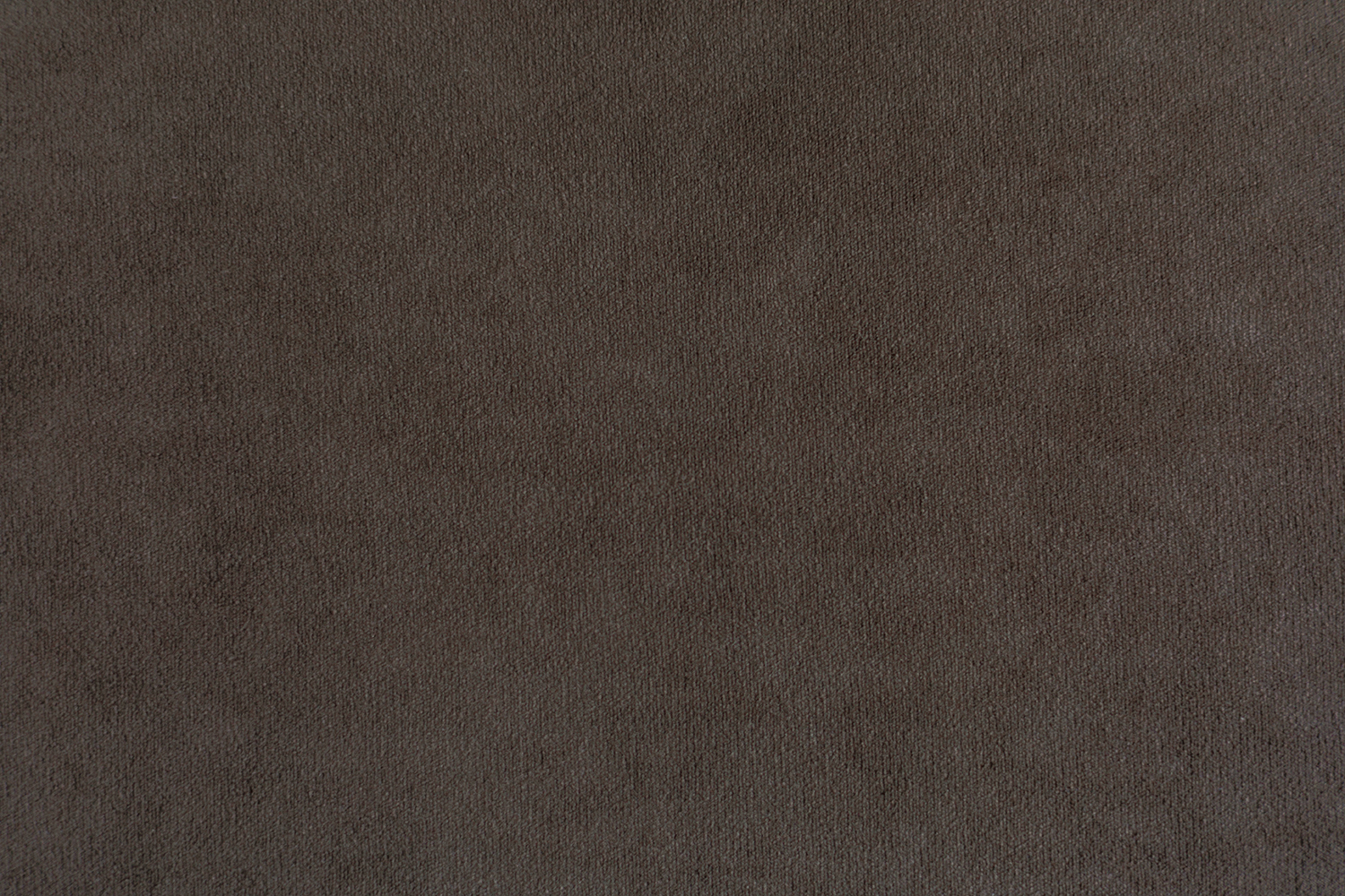 Parma 1006 Chocolate