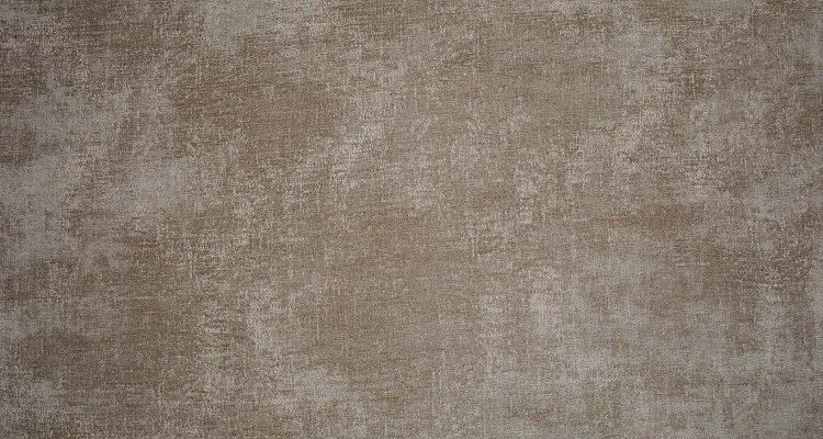 Runa 1 - морская ракушка