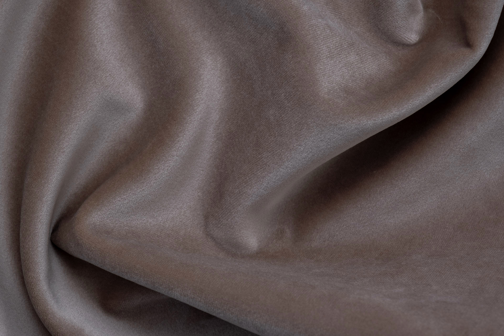 Paddington Paddington 07