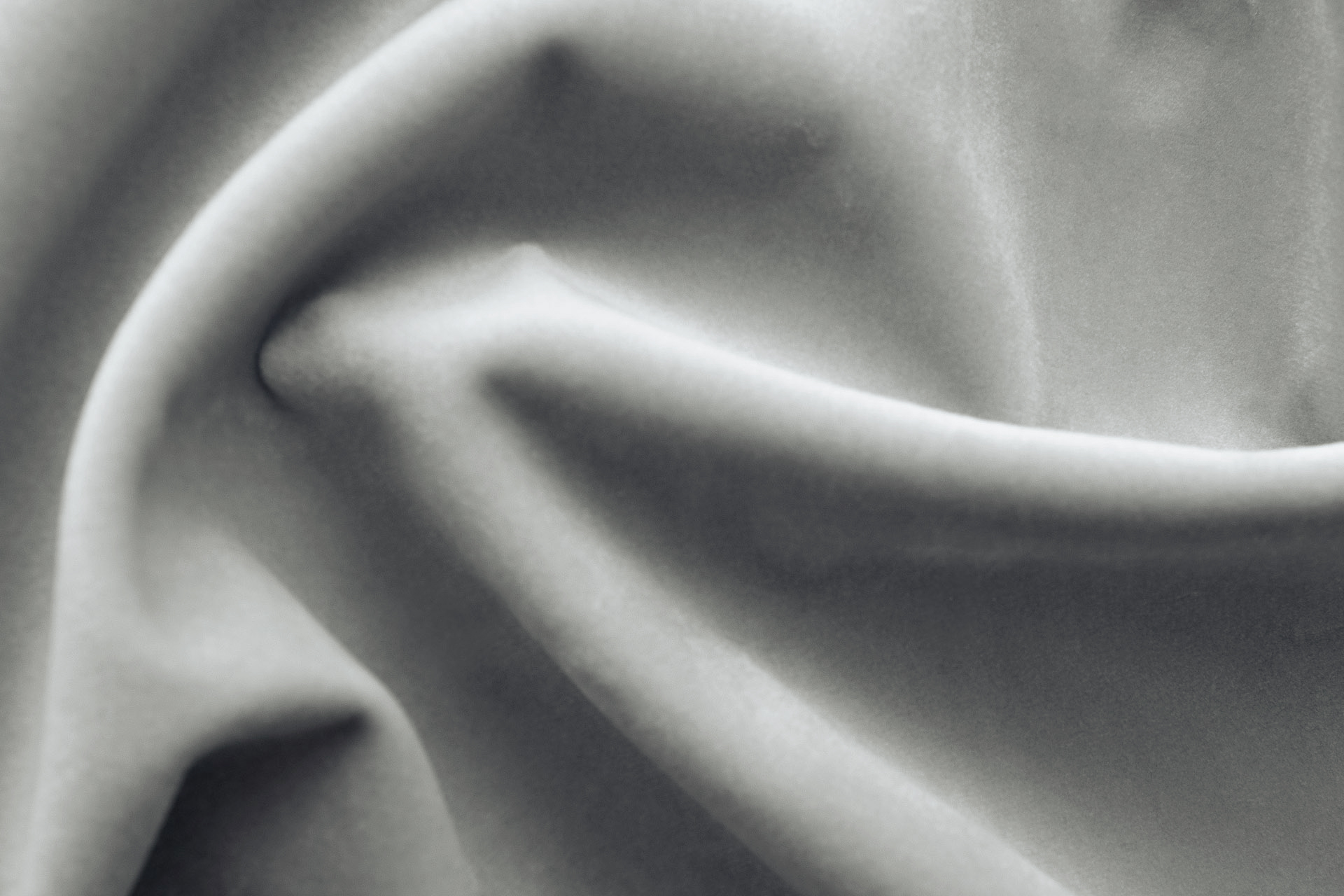 Paddington Paddington 24