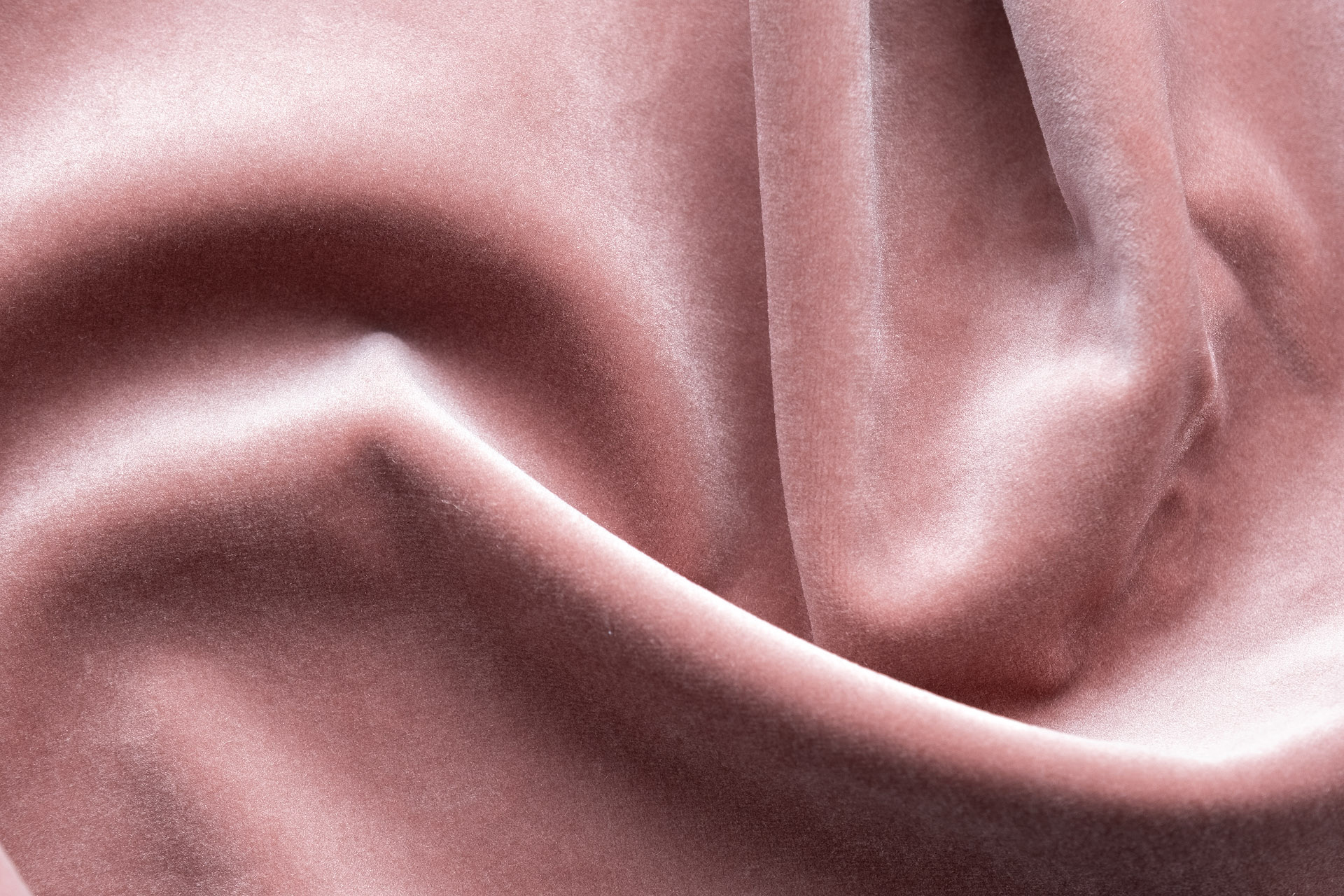 Paddington Paddington 11