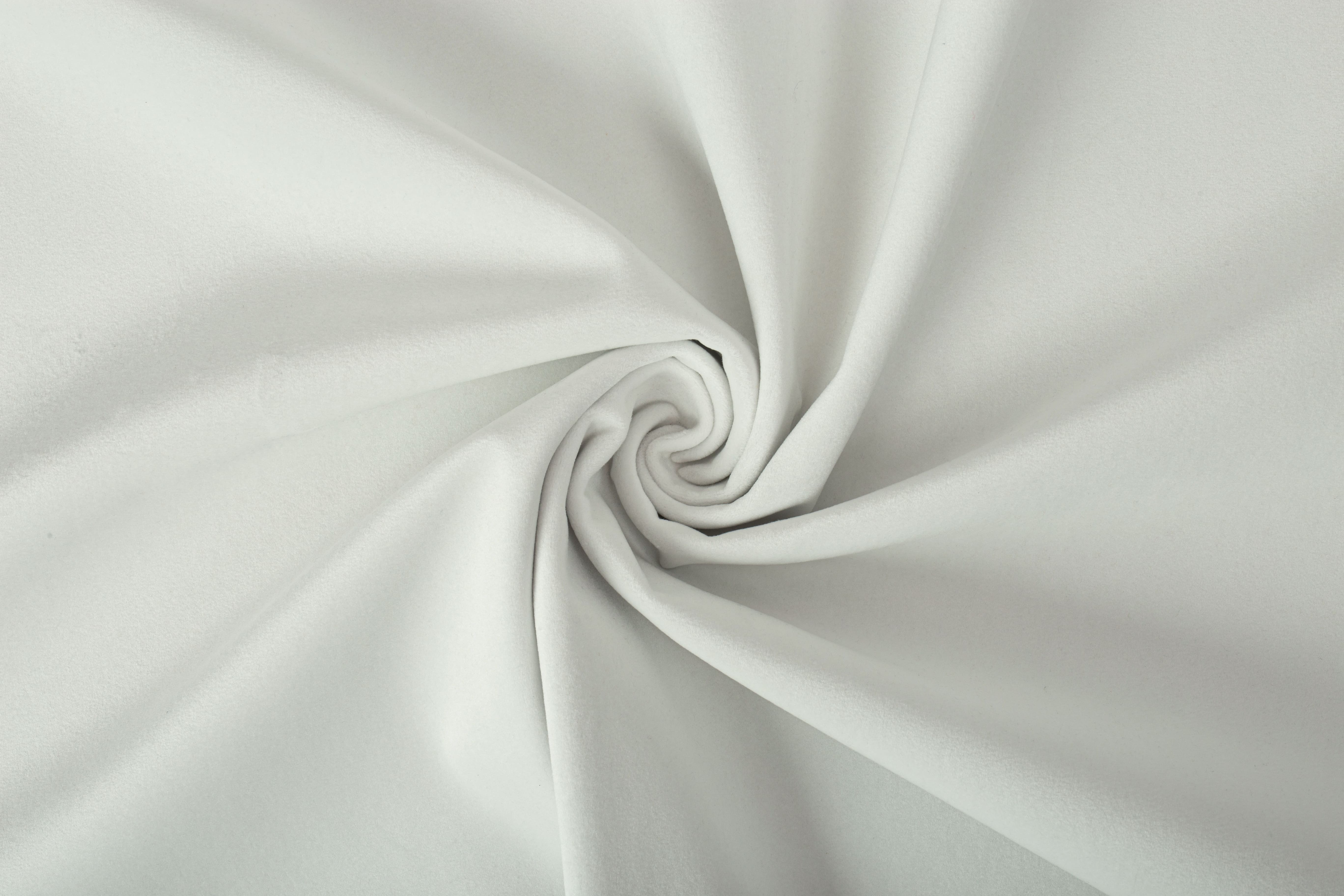 Paddington Paddington 25