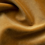 Paddington Paddington 16