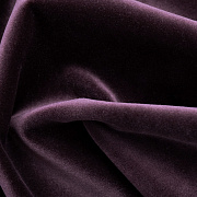 Paddington Paddington 37