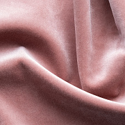 Paddington Paddington 11